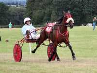 Wales & Border Counties Harness Racing: Mayhem Queen wins novice final