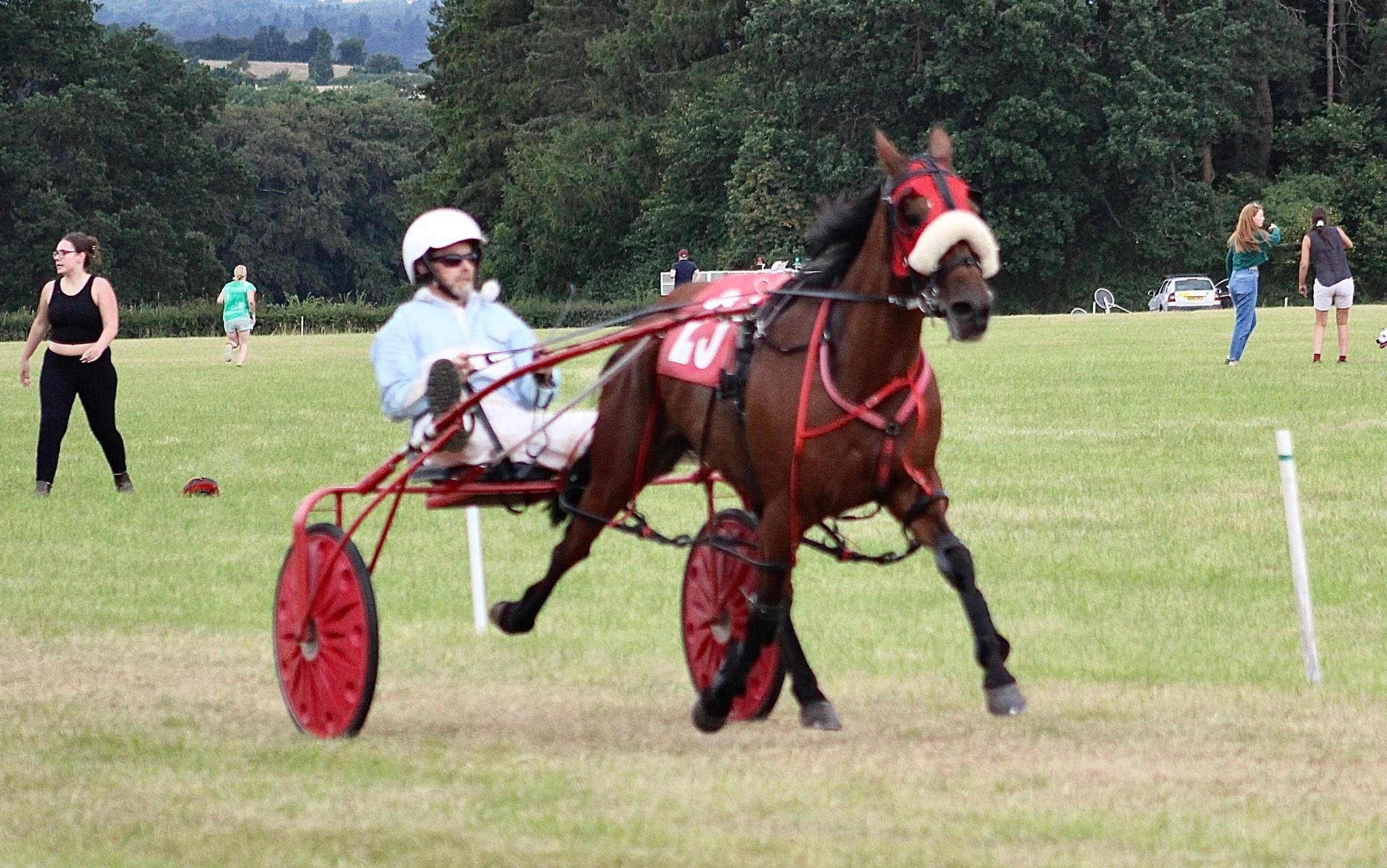 Wales & Border Counties Harness Racing: Mayhem Queen wins novice final ...