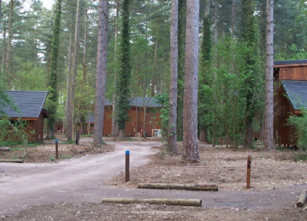 Cabins in the forest camp at Beddgelert. Photo: Eryri National Park Authority