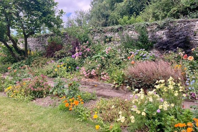 Llanrhystud garden gets new life with Arthur Newman's latest project