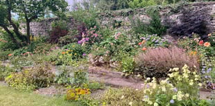 Llanrhystud garden gets new life with Arthur Newman's latest project