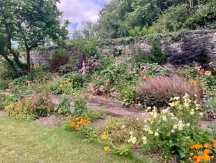 Llanrhystud garden gets new life with Arthur Newman's latest project