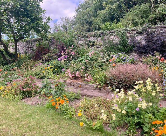 Llanrhystud garden gets new life with Arthur Newman's latest project
