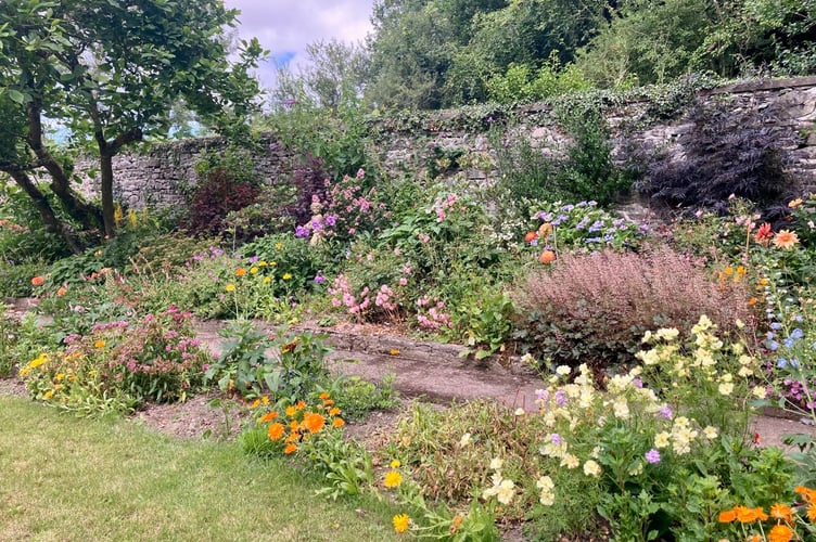 Arthur Newman's Penelton garden will open to the public on Sunday, 3 August