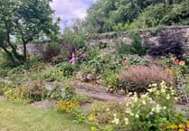 Llanrhystud garden gets new life with Arthur Newman's latest project