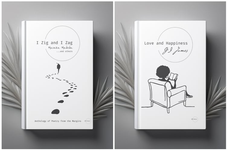 The first two books from Aberystwyth's newest publishing house, M2M Books (Margin to Margin Books)