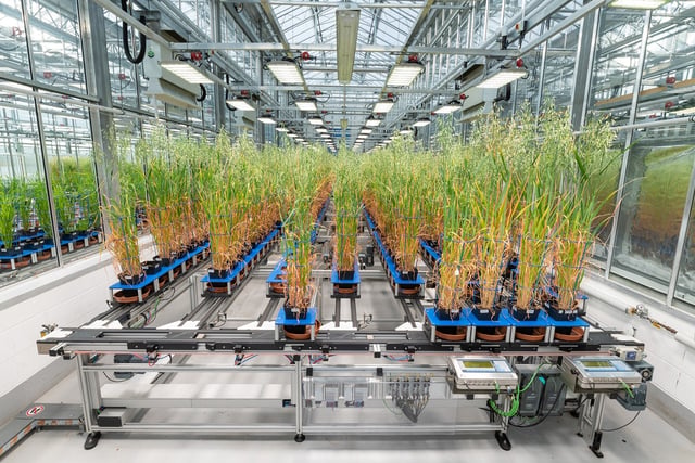 We need to celebrate our farmers
