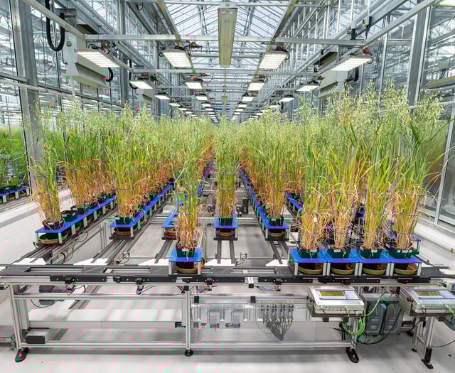 AI and biotechnology could transform global crop production