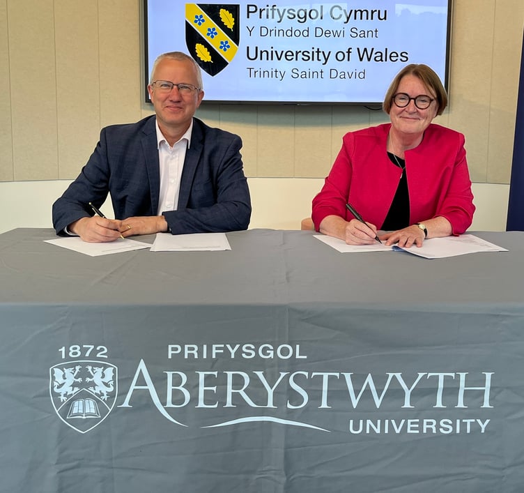 Professor Jon Timmis and Professor Elwen Evans KC