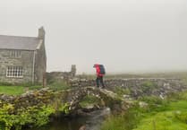 Hikers rescued in Snowdonia's Rhinogs by search team