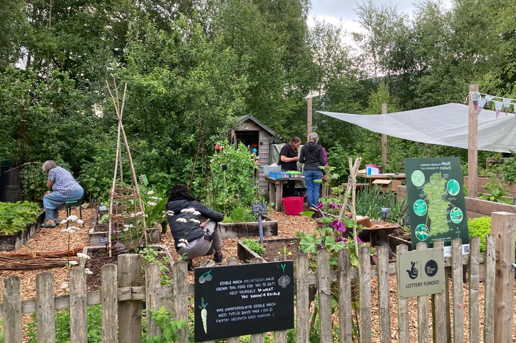 The show allotment on the Plas grounds in Machynlleth