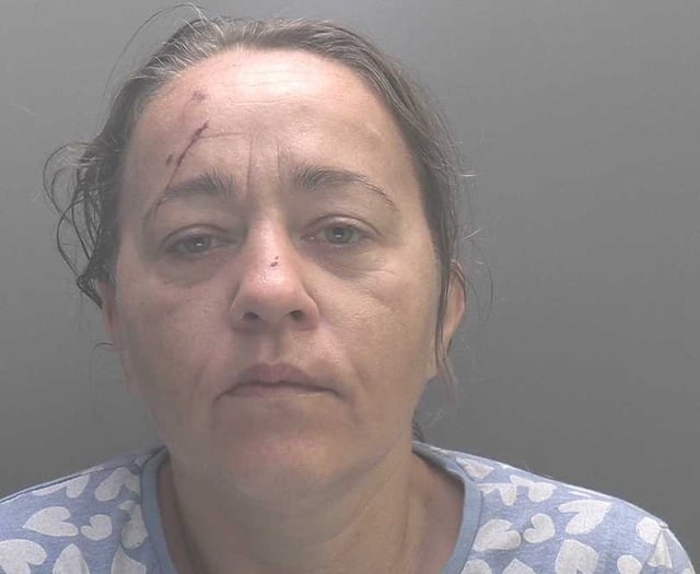 Emma, 44, missing from Porthmadog