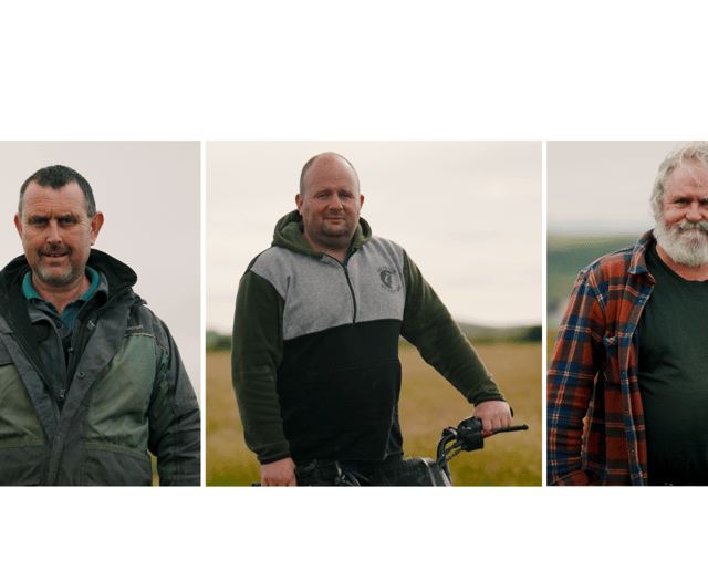 Llŷn farmers benefit commercially from working with nature
