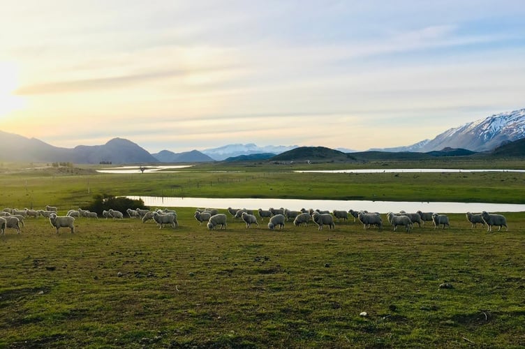 The Nahuelpan landscape. Copyright: Problematising history project