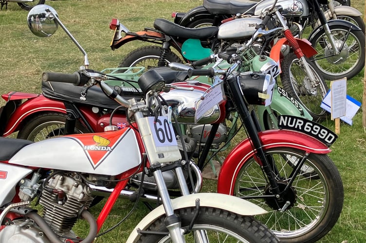 steam rally