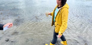 44% would never swim in sea amid sewage fears