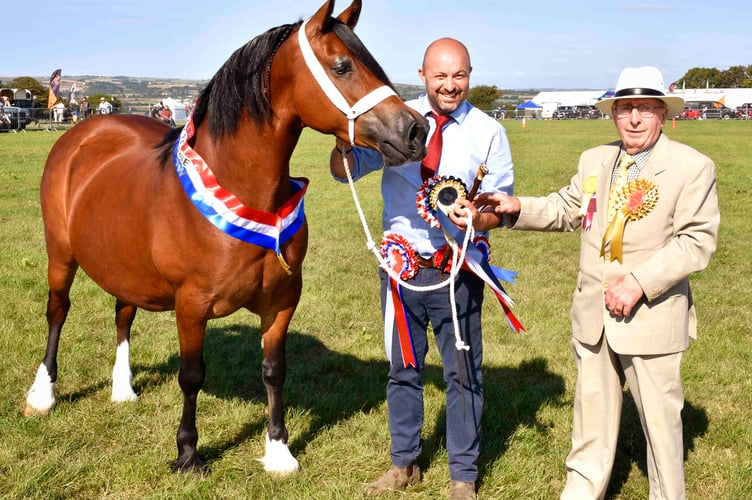 Cardigan Show