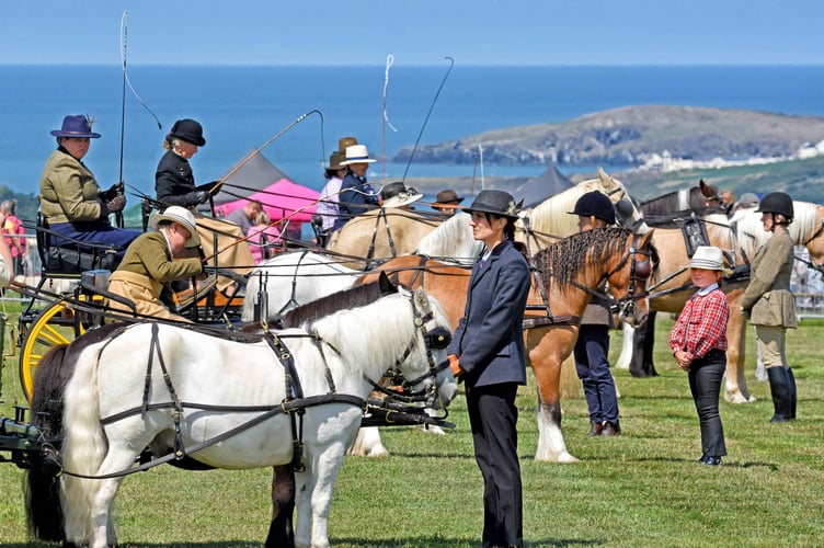 Cardigan show