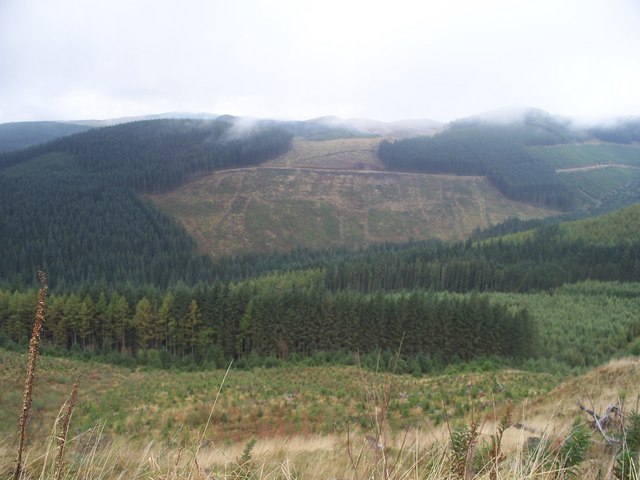 Myherin Forest