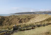 Ceredigion and Gwynedd make top five list of autumn wildlife spots in Wales