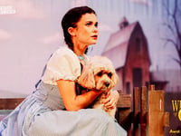 Aberystwyth Arts Centre's Wizard of Oz captivates audiences