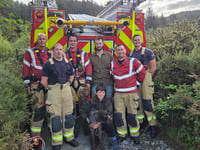 Dog rescued after falling down 20 metre ravine near Aberystwyth