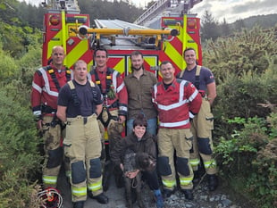 Dog rescued after falling down 20 metre ravine near Aberystwyth
