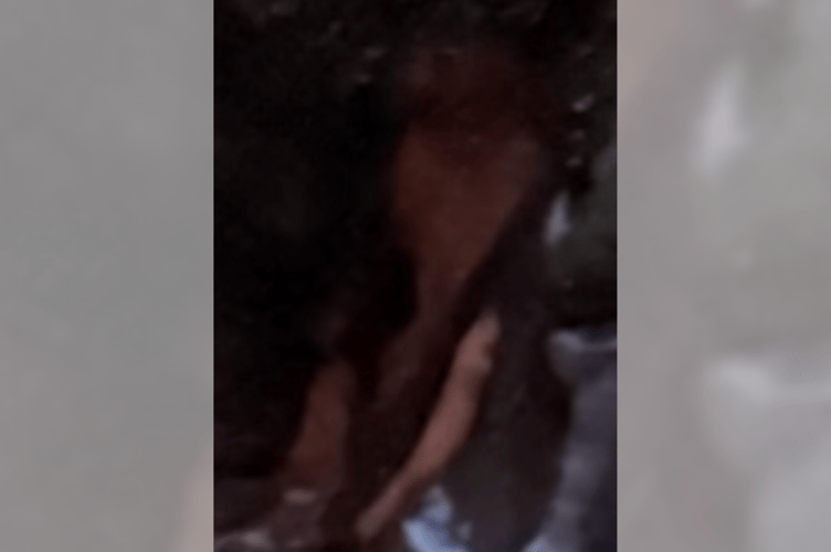 A zoomed-in shot of the 'figure'