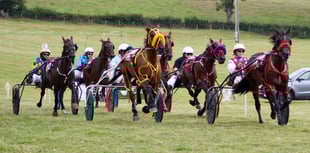 Red Cash triumphs at Newbridge races with Mat Tromans
