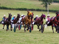 Red Cash triumphs at Newbridge races with Mat Tromans