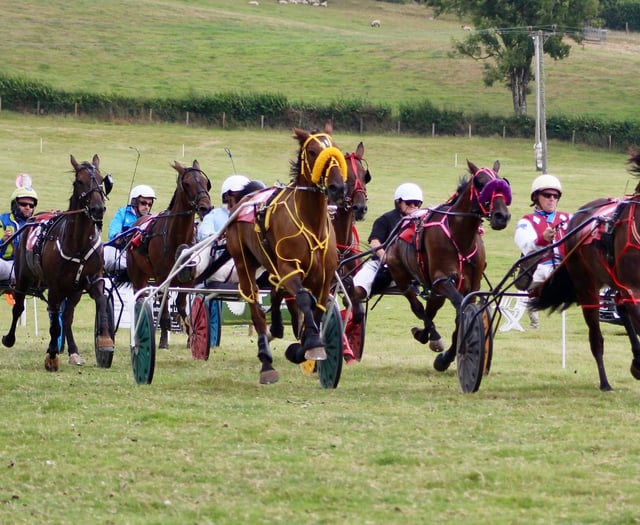 Red Cash triumphs at Newbridge races with Mat Tromans