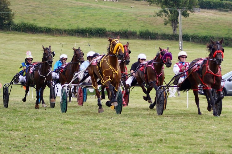 Red Cash won the novice race