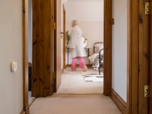Gwynedd Council's 'Lilli' tech transforms care