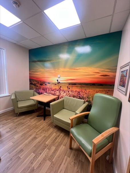 Furniture for Merlin Ward at Glangwili