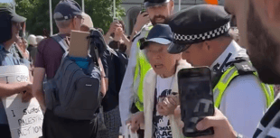 WATCH: Aber pensioner arrested by police at Palestine Action protest