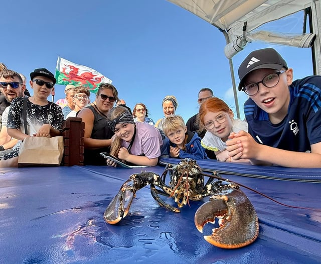 Dolphin spotting boat launches new lobster experience