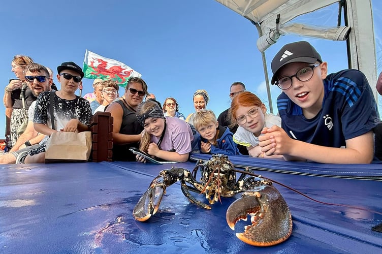 Lobster