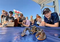 Dolphin spotting boat launches new lobster experience