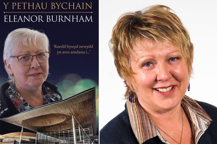 Y Pethau Bychain gan Eleanor Burnham