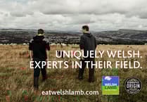 Local farmers front Welsh Lamb campaign