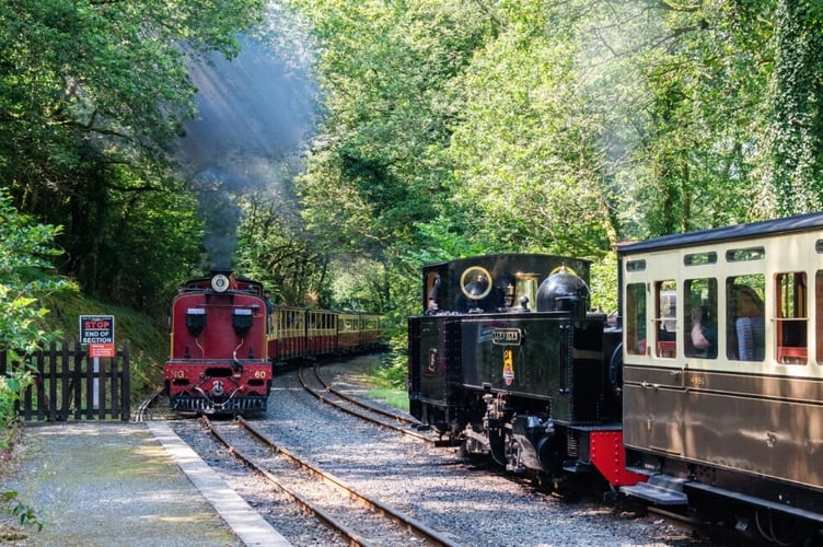 Vale of Rheidol