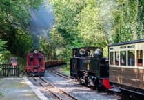 Vale of Rheidol offering half price tickets to locals