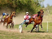 Fold Fearless wins first open race
