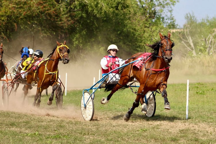 Fold Fearless won the first open race