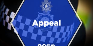 Pwllheli disturbance: Police seek witnesses