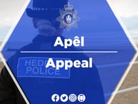 Man dies in Gwynedd fire