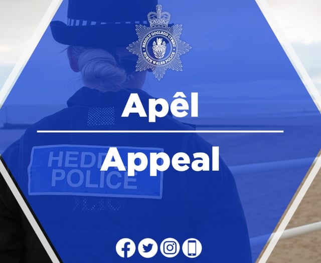 Man dies in Gwynedd fire