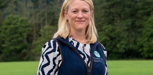 Aberystwyth veterinary academic awarded prestigious fellowship
