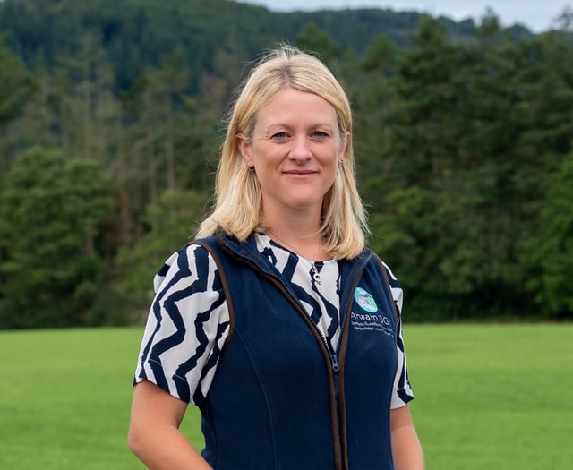 Aberystwyth veterinary academic awarded prestigious fellowship