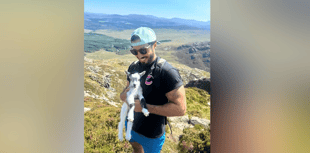 Baby goat saved in Snowdonia